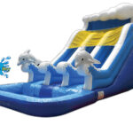 16 FT 2 Lane Dolphin Wet-Dry Slide