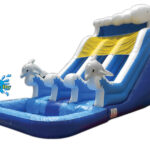 20 FT 2 Lane Dolphin Wet-Dry Slide