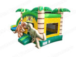 4 in 1 Dinosaurs Combo ( Wet & Dry) - Image 3