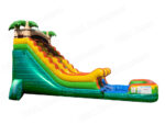 18 FT Palms Wet-Dry Slide - Image 3
