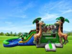 Safari  Dual Lane Combo ( Wet & Dry) - Image 3