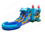 Under Sea Dual Lane Combo ( Wet & Dry) - Image 2